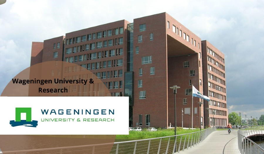 The Wageningen University Excellence Scholarship Programme