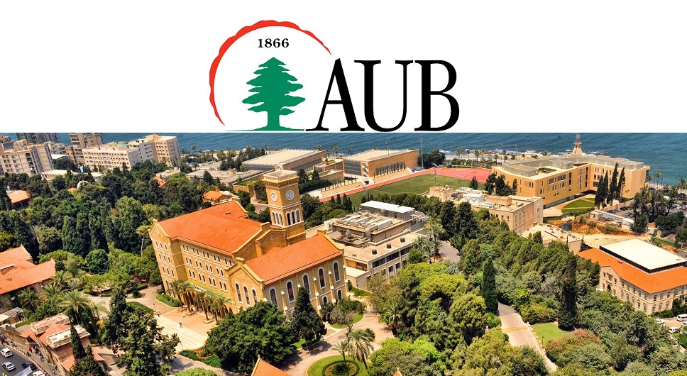 The AUB MEPI-TLG Tomorrow’s Leaders Graduate Program (TLG)