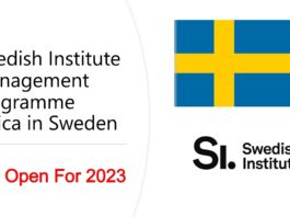 The Swedish Institute Management Programme Africa