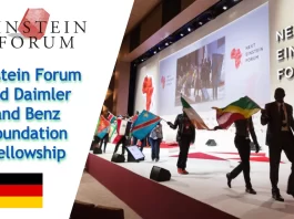 The Einstein Forum and Daimler and Benz Foundation Fellowship